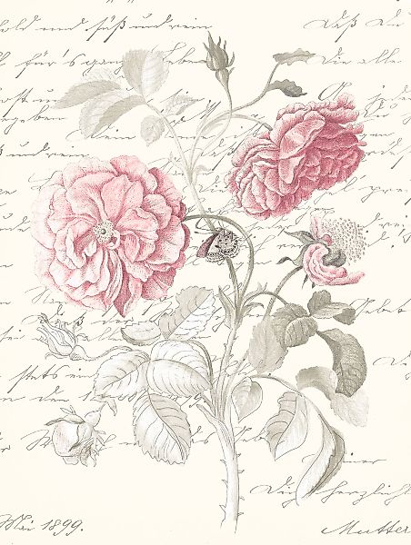 Komar Bild "Poème Rose", Natur, (1 St.), Wandbild zur Dekoration - ohne Rah günstig online kaufen