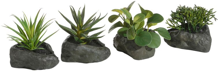 Kunstpflanze Sukkulenten, Home affaire, Höhe 12 günstig online kaufen