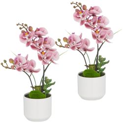 Kunstorchidee Orchidee Phalaenopsis, Creativ green, Höhe günstig online kaufen