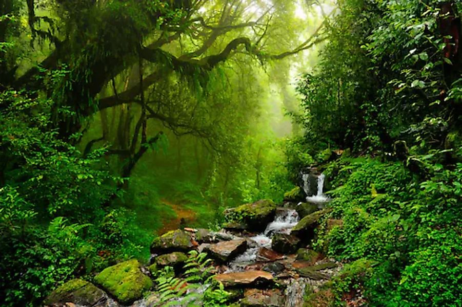 Papermoon Fototapete »Subtropischer Dschungel« günstig online kaufen