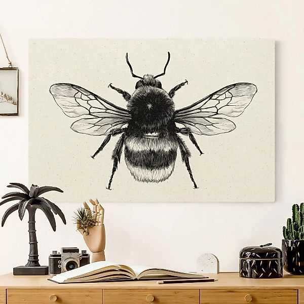 Leinwandbild auf Naturcanvas Illustration fliegende Hummel Schwarz günstig online kaufen
