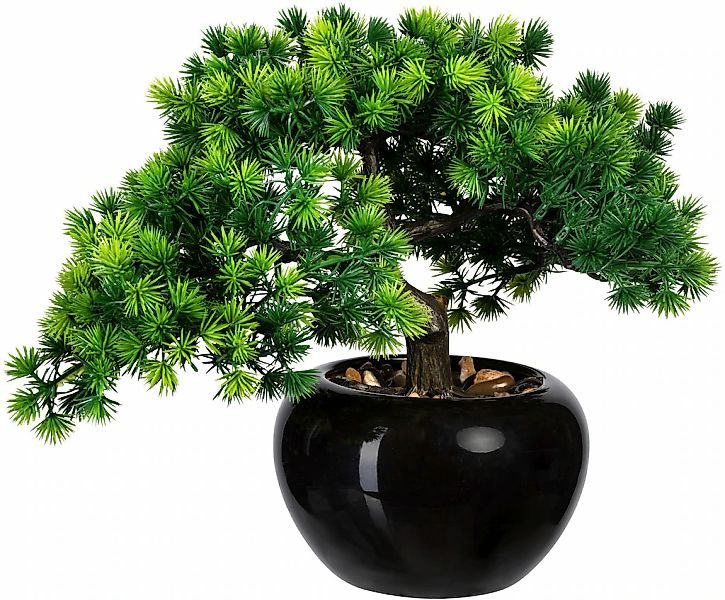 Creativ green Kunstbonsai "Bonsai Lärche", im Keramiktopf günstig online kaufen