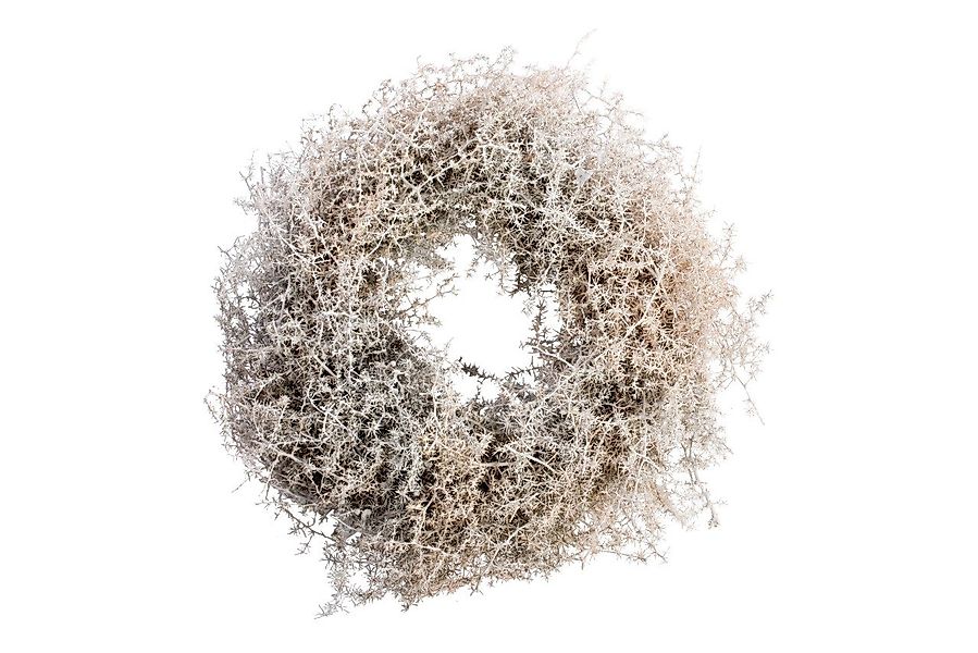 Imkerei Freese Weihnachtsfigur Freese Asparagus-Kranz gewachst weiß Ø 25 x günstig online kaufen