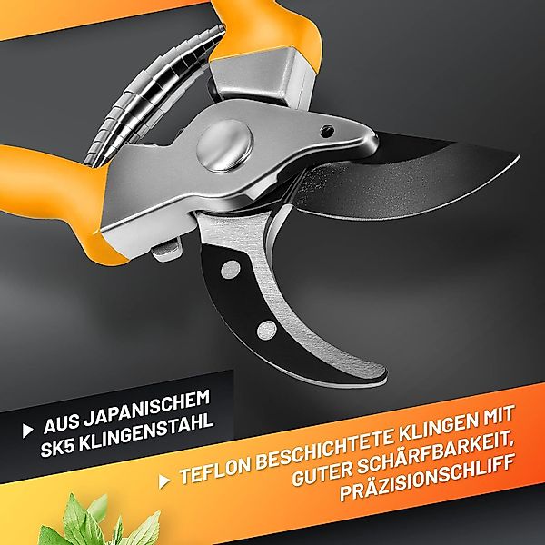 GRÜNTEK Gartenschere Gartenschere Rebschere SPECHT mit günstig online kaufen