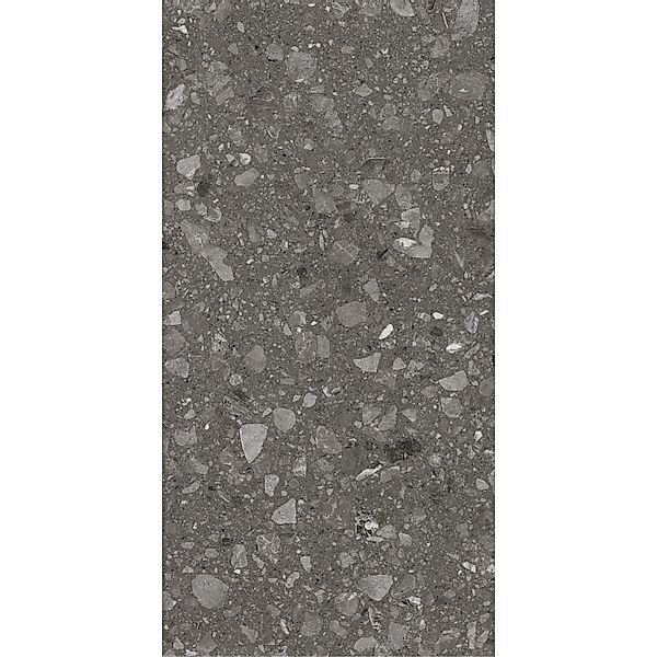 Bodenfliese Feinsteinzeug Anthrazit 60 cm x 120 cm günstig online kaufen