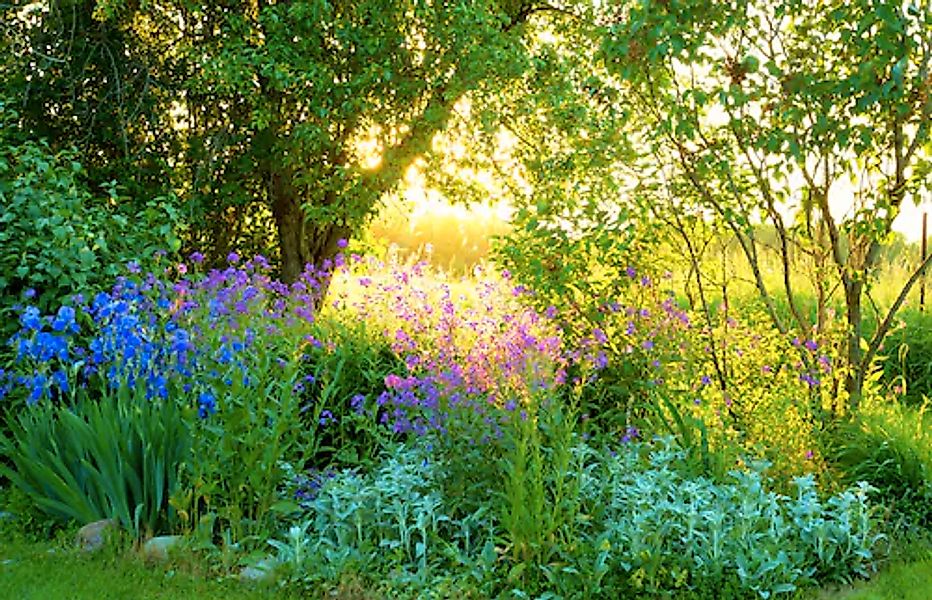 Papermoon Fototapete »GARTEN-BLUMEN BÄUME PFLANZEN PARK STEINE BLÜTEN WALD« günstig online kaufen