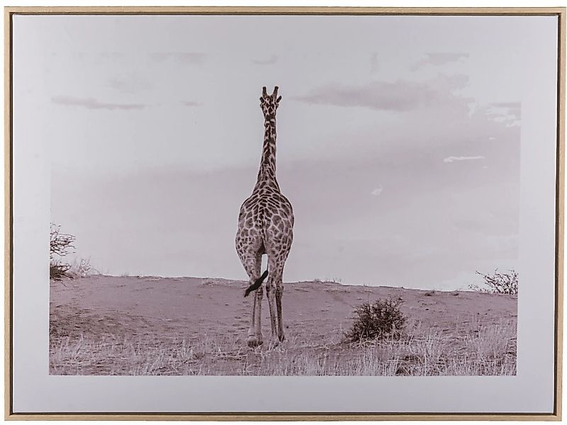 Creativ home Bild mit Rahmen "Giraffe", (1 St.), mit schwarz-weißem Motiv günstig online kaufen
