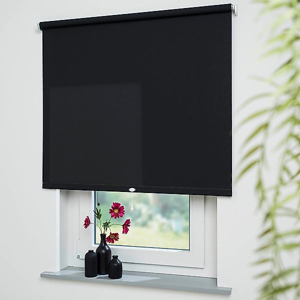 Springrollo Uni, Liedeco, Lichtschutz, mit Bohren/ohne günstig online kaufen