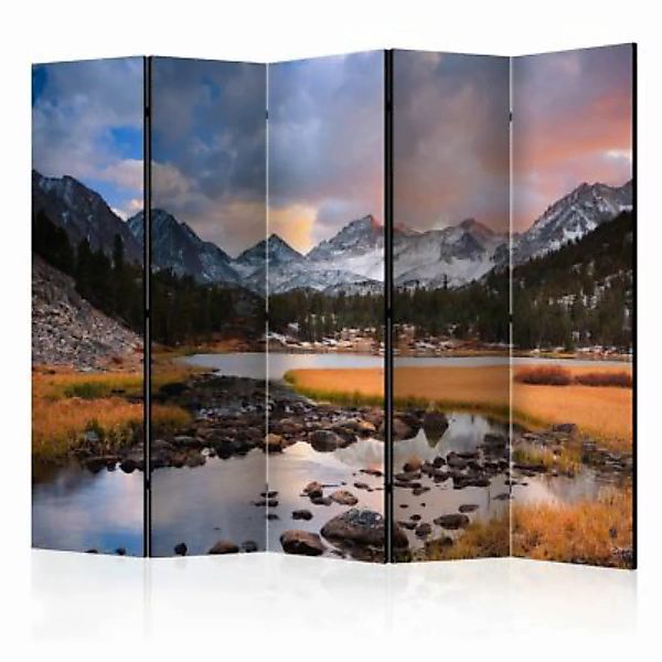 artgeist Paravent Amazing mountain landscape II [Room Dividers] grau/braun günstig online kaufen