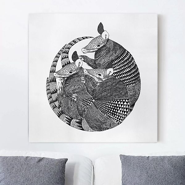Leinwandbild Tiere - Quadrat Illustration Gürteltiere Schwarz Weiß Muster günstig online kaufen