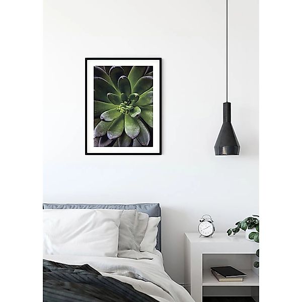 Komar Bild »Succulent Single«, Pflanzen-Blätter, (1 St.), Wandbild zur Deko günstig online kaufen