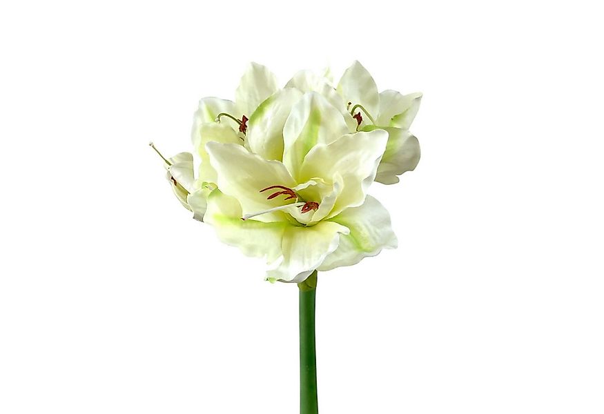 Kunstblume Kunstblume AMARYLLIS ca. 66cm. 1 Stängel mit 4 Blüten., Gasper, günstig online kaufen