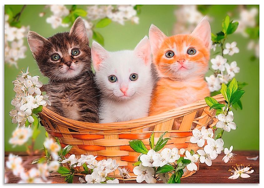 Artland Wandbild "Katzen sitzen in einem Korb" Haustiere 1 Stk. tlg. als Le günstig online kaufen