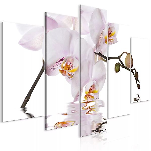 Wandbild - Delightful Orchid (5 Parts) Wide günstig online kaufen