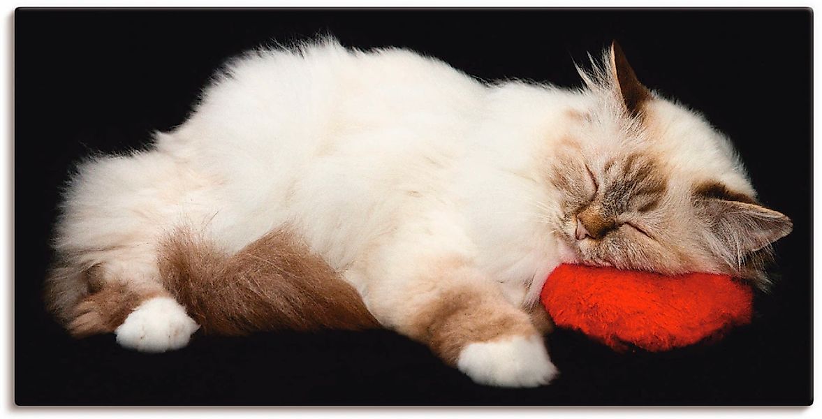 Artland "Müde Katze" Haustiere 1 Stk. tlg. auf Holzrahmen gespannt günstig online kaufen