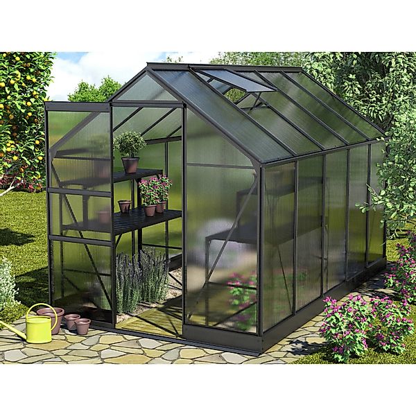 Vitavia Gewächshaus Apollo 6200 Schwarz 6,2 m² inkl. Fundament günstig online kaufen