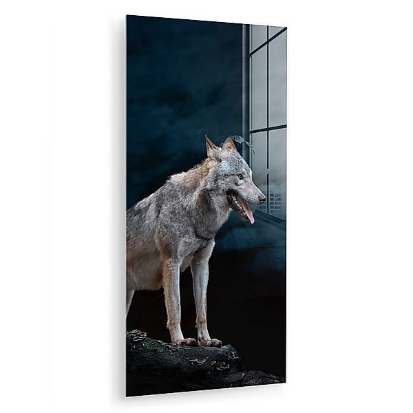 MuchoWow Acrylglasbild Wolf - Mond - günstig online kaufen