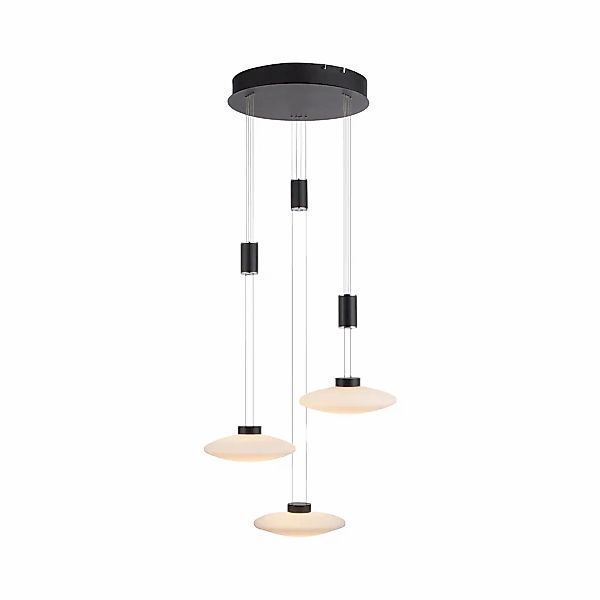 Paul Neuhaus Pendelleuchte "LAUTADA", 3 flammig, Leuchtmittel LED-Board  LE günstig online kaufen