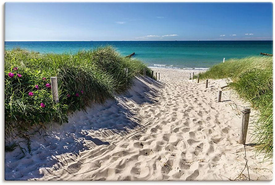 Artland Wandbild "Weg zum Strand an der Ostsee", Strandbilder, (1 St.) günstig online kaufen
