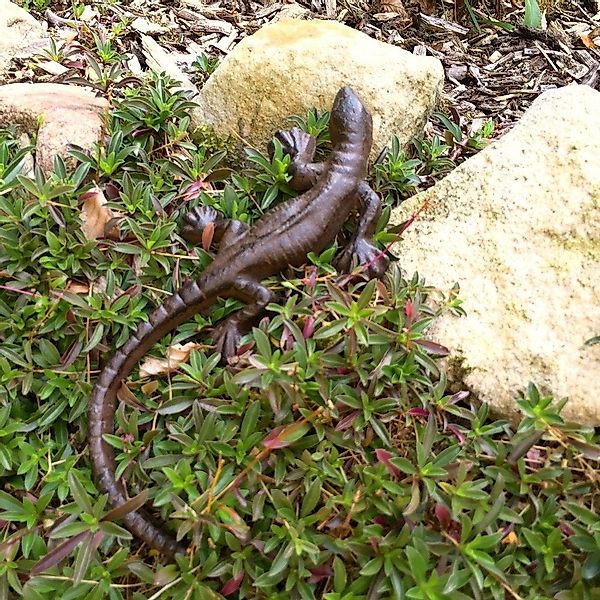 Antikas Wanddekoobjekt Tischdekoration Eidechse, Garten Salamander, günstig online kaufen