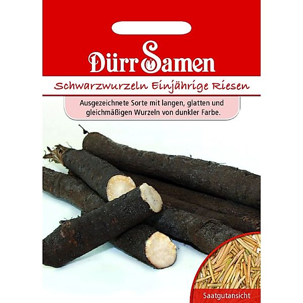 Dürr Samen Schwarzwurzeln Einjährige Riesen Saatgut günstig online kaufen