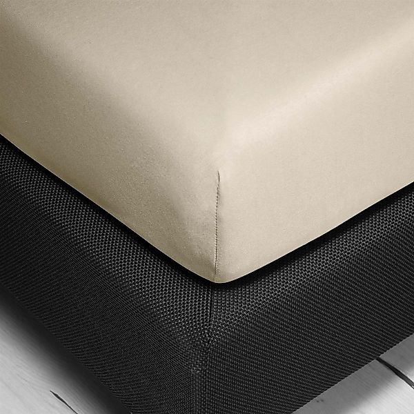 2x Irisette Kuscheljersey Spannbetttuch Vesuv 90x200 100x200 günstig online kaufen