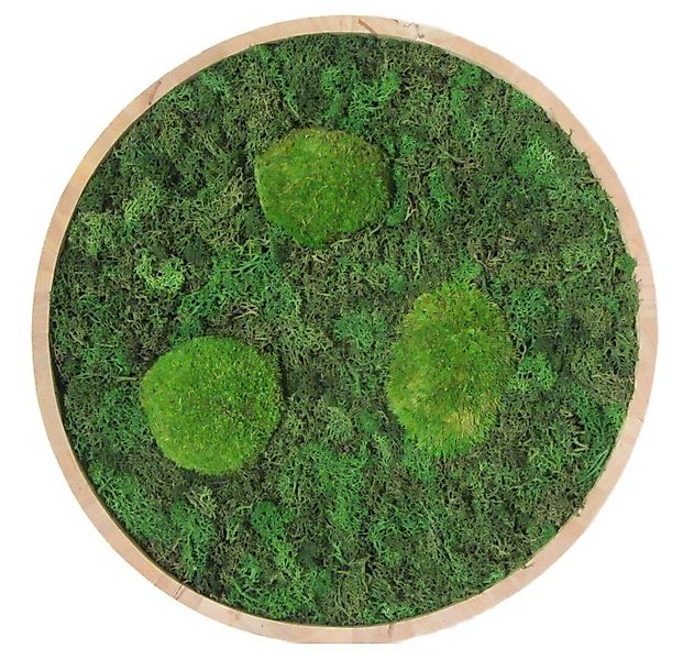 meinvipshop Bild Moos Moosbild Wood rund 40cm "handmade", Wandbild günstig online kaufen