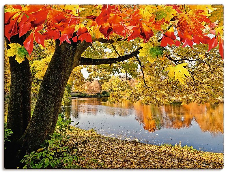Artland Wandbild "Herbsttag an einem ruhigen See", Gewässer, (1 St.) günstig online kaufen