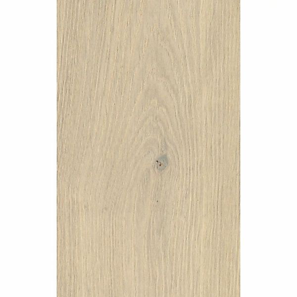Kronoflooring Binyl Pro Laminat 8 mm Wasserfest Eiche Rope Ethereal günstig online kaufen