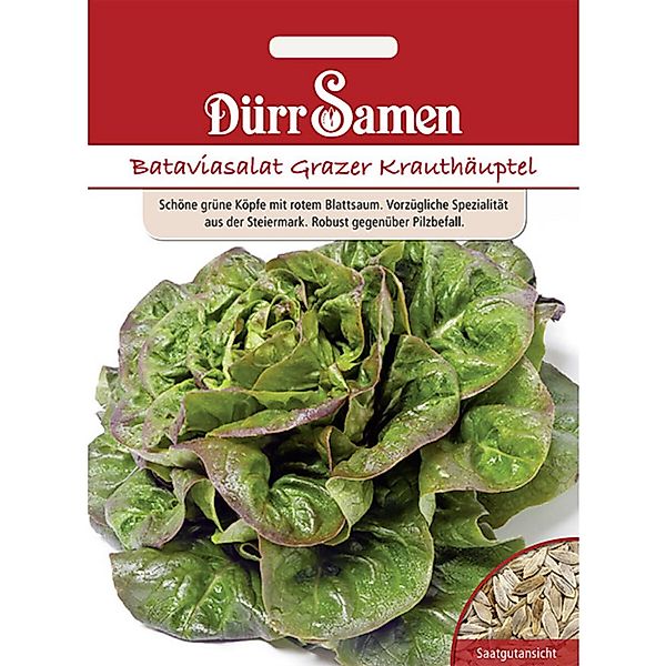 Dürr Samen Bataviasalat Grazer Krauthäuptel Saatgut günstig online kaufen
