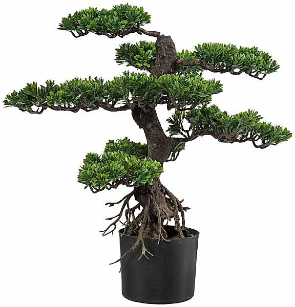 Kunstbonsai Bonsai Bonsai, Creativ green, Höhe 75 cm günstig online kaufen