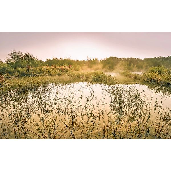 Komar Vliestapete »Digitaldruck Vlies - Morning View II - Größe 400 x 250 c günstig online kaufen