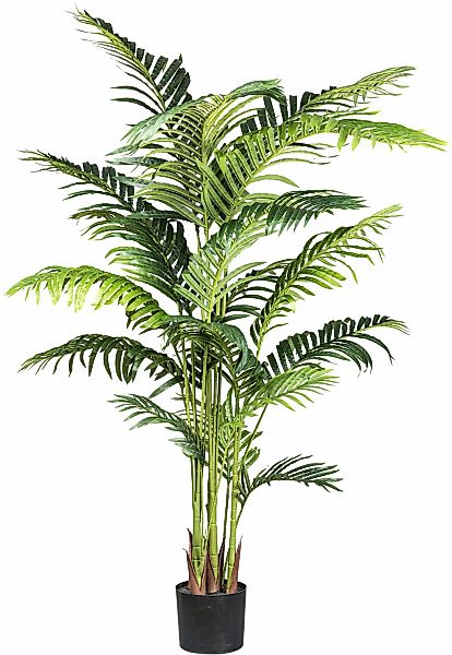 Kunstpalme Kentiapalme Kentiapalme, Creativ green, Höhe 160 cm, mit detailg günstig online kaufen