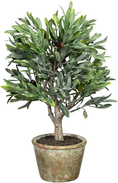 Kunstpflanze Olive, Creativ green, Höhe 70 günstig online kaufen