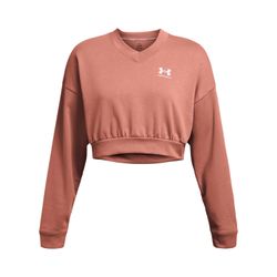 Under Armour® Kapuzenpullover Under Armour Damen günstig online kaufen