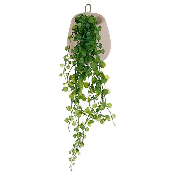 Kunstpflanze Zimmerpflanze, Atmosphera Créateur d'intérieur, Höhe günstig online kaufen