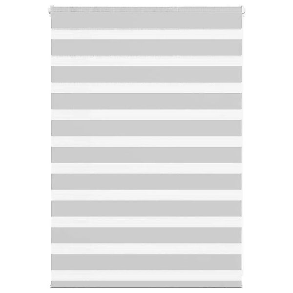 vidaXL Doppelrollo Hellgrau 100x100 cm Stoffbreite 95,9 cm Polyester 401441 günstig online kaufen