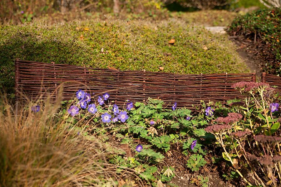 KONIFERA Beetbegrenzung "aus geöltem Weidenholz" Mini-Beetgrenze 120x35 cm günstig online kaufen