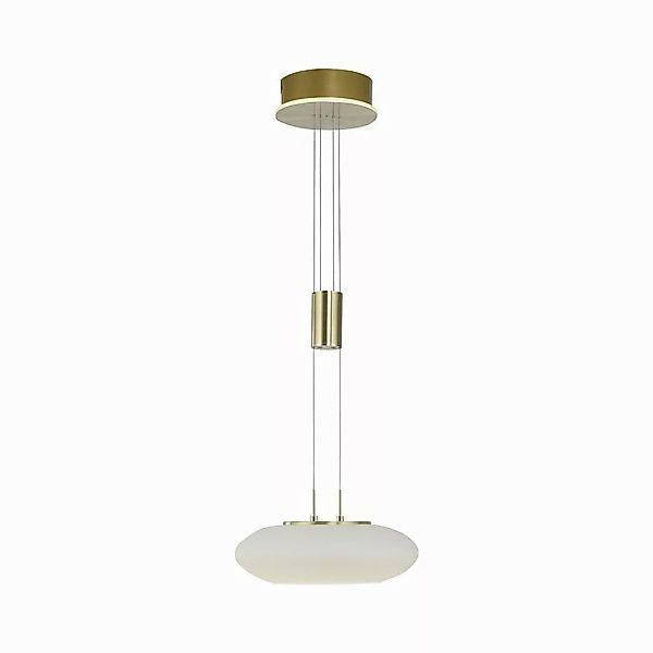 Paul Neuhaus Smarte LED-Leuchte LED Pendellampe günstig online kaufen