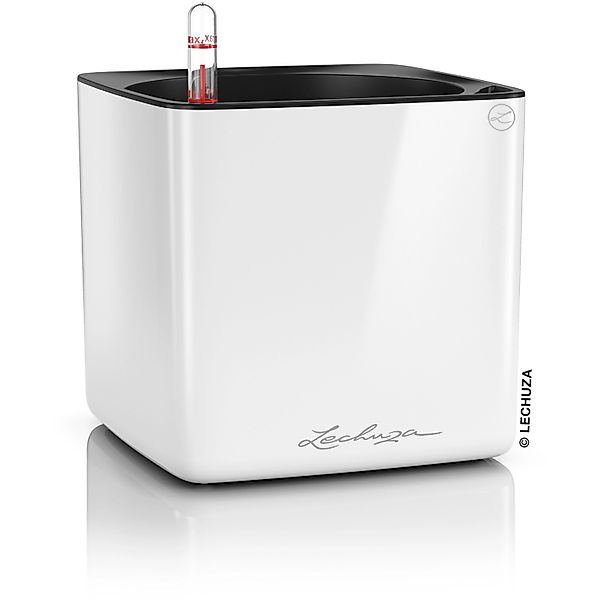 Lechuza® Blumentopf Cube Glossy 16 Weiss günstig online kaufen