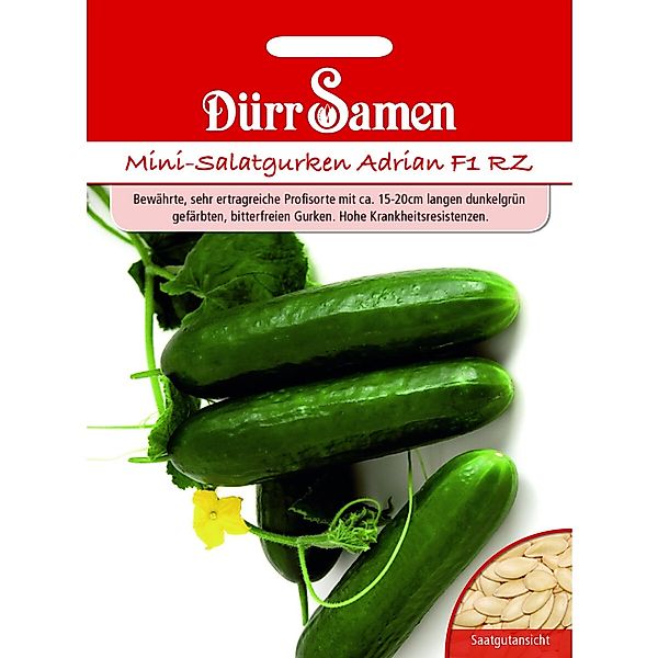 Dürr Samen Mini-Gurken Adrian F1 Rz Saatgut günstig online kaufen