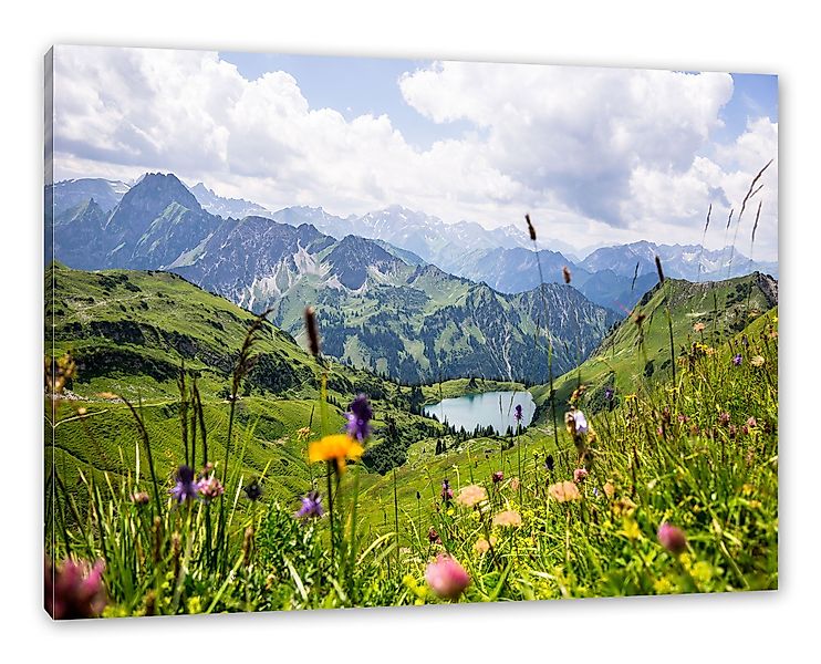 Pixxprint Leinwandbild Wiesenblumen in den Bergen, günstig online kaufen