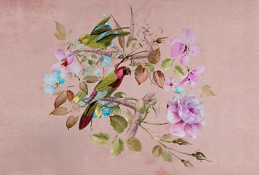 living walls Fototapete »Walls by Patel Love Nest« glatt Vlies, Wand günstig online kaufen