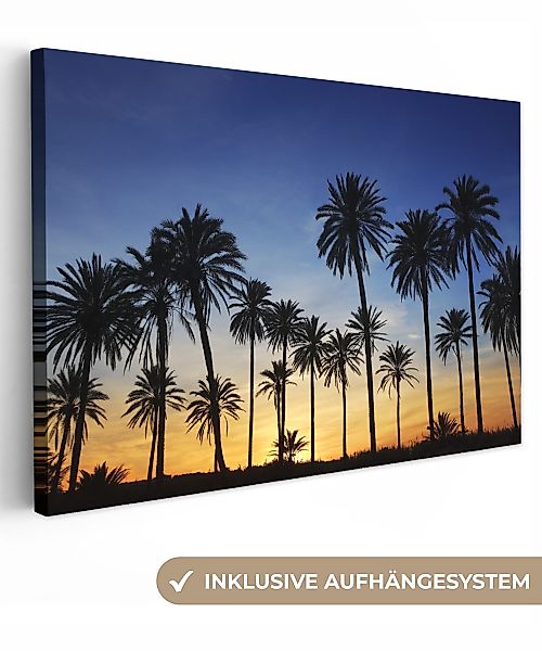 OneMillionCanvasses® Leinwandbild Palme - Natur - günstig online kaufen