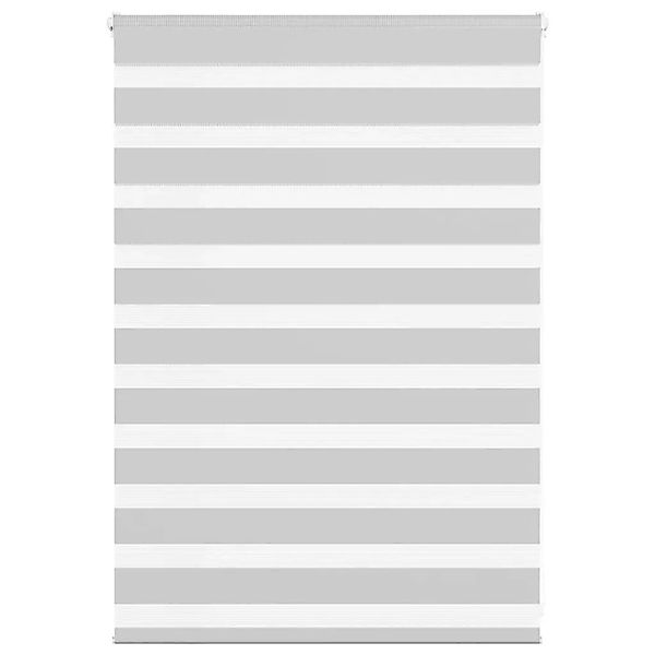 vidaXL Doppelrollo Hellgrau 110x100 cm Stoffbreite 105,9 cm Polyester 40144 günstig online kaufen