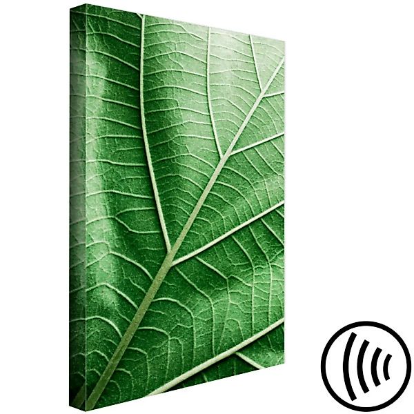 Leinwandbild Malachite Leaf (1 Part) Vertical XXL günstig online kaufen