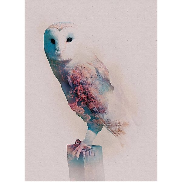 Komar Wandbild Animals Forest Owl 50 x 70 cm günstig online kaufen