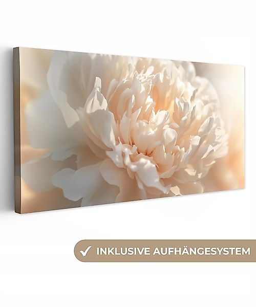 OneMillionCanvasses® Leinwandbild Panorama Nahaufnahme - Pfingstrose günstig online kaufen