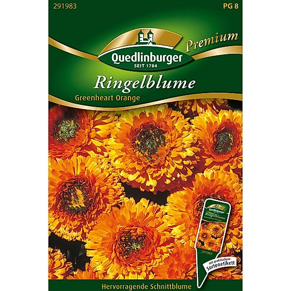 Quedlinburger Ringelblume ''Greenheart orange'' günstig online kaufen
