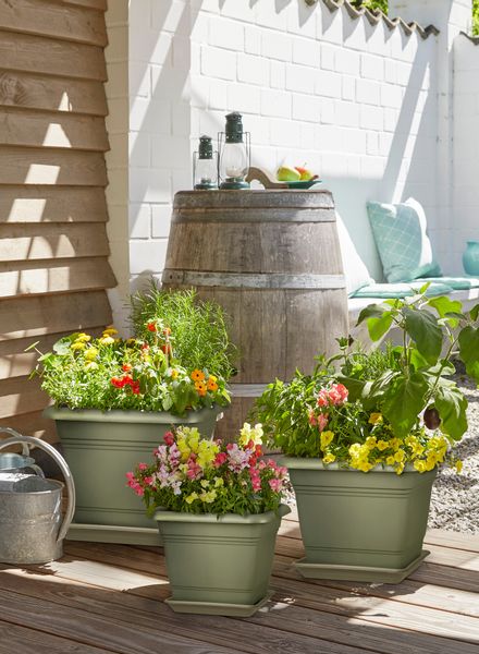 Scheurich Blumentopfuntersetzer aus Kunststoff, frostfest, UV-beständig, günstig online kaufen